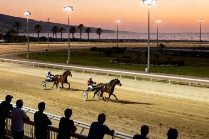 Deux sulkies en course sur la piste sablée d'un hippodrome éclairé au crépuscule, face à la mer