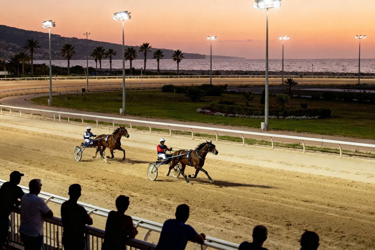 Deux sulkies en course sur la piste sablée d'un hippodrome éclairé au crépuscule, face à la mer